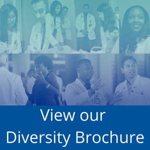 View our diversity brochure