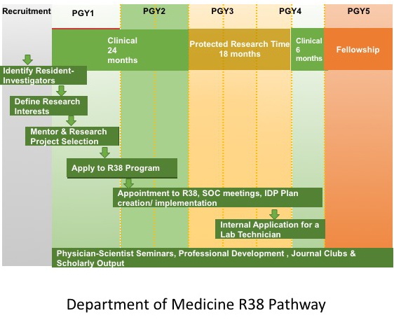 department of medicine r38 pathway