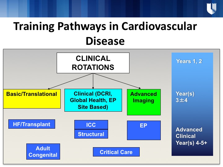 Training Pathways in Cardiovascular Disease