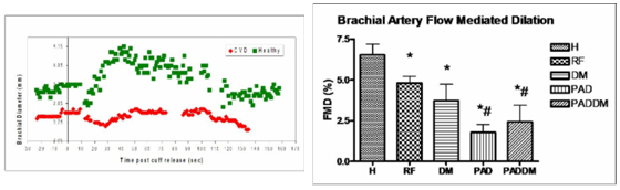 Diameter responses over time of healthy subjects versus subjects with CVD to the hyperemic stimulus