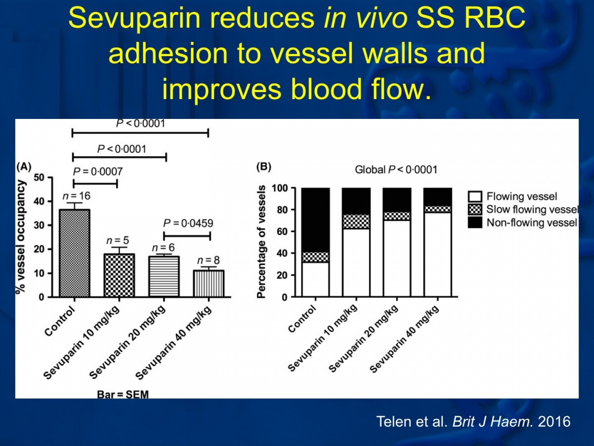 Sevuparin reduces in vivo SS RBC adhesion