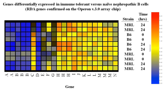 Genes differentially expressed 