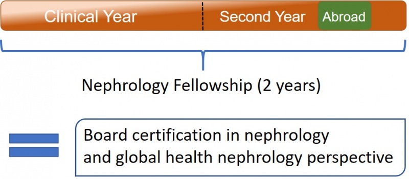 Clinical Concentration