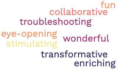 Summer Scholars reflection words