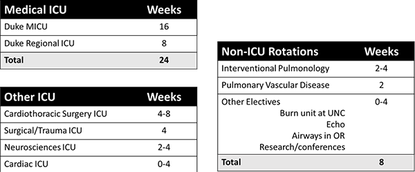 clinical curriculum CMFF