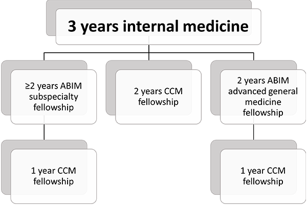 Critical Care Medicine Fellowship Pathways