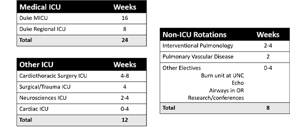 Critical Care Medicine Fellowship Curriculum