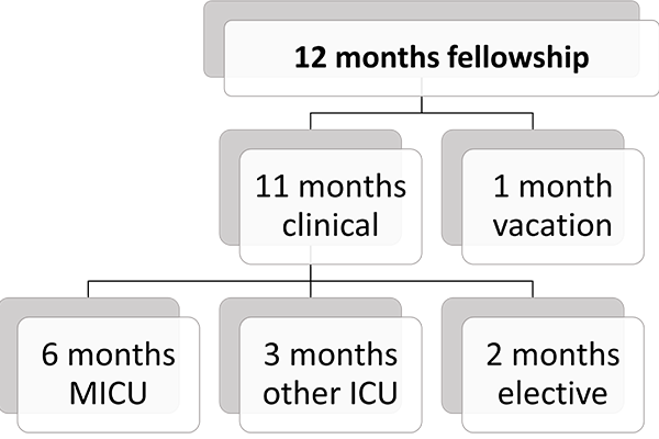 Critical Care Medicine Fellowship timeline