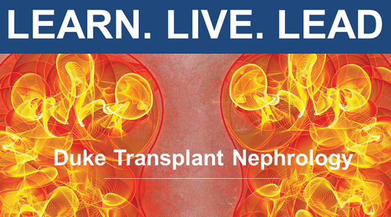 nephrology graphic