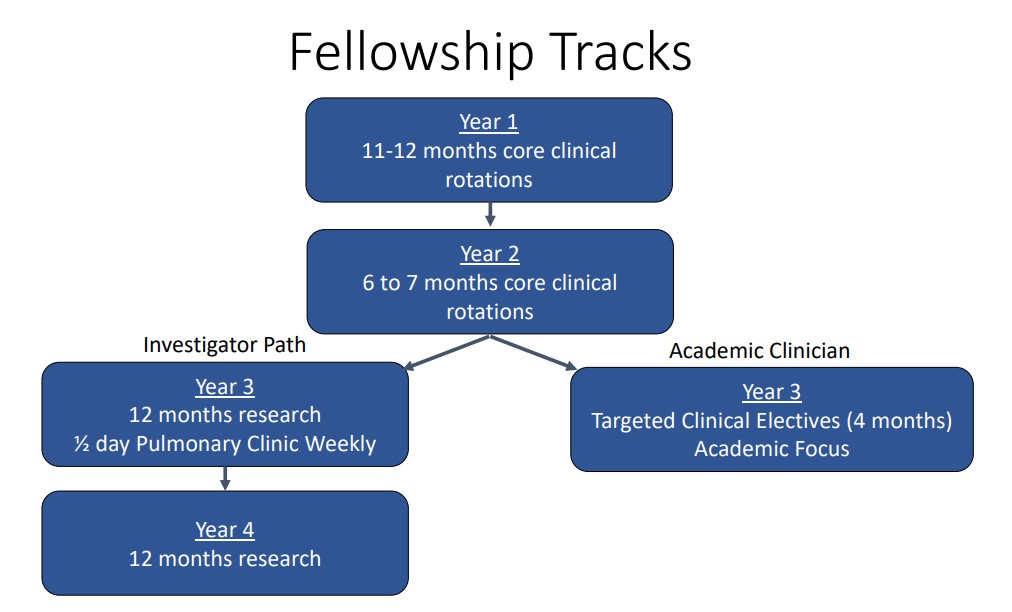 Duke PCCM Fellowship Tracks
