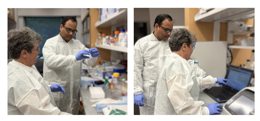 Pancreas Reseachers in the Lab Setting