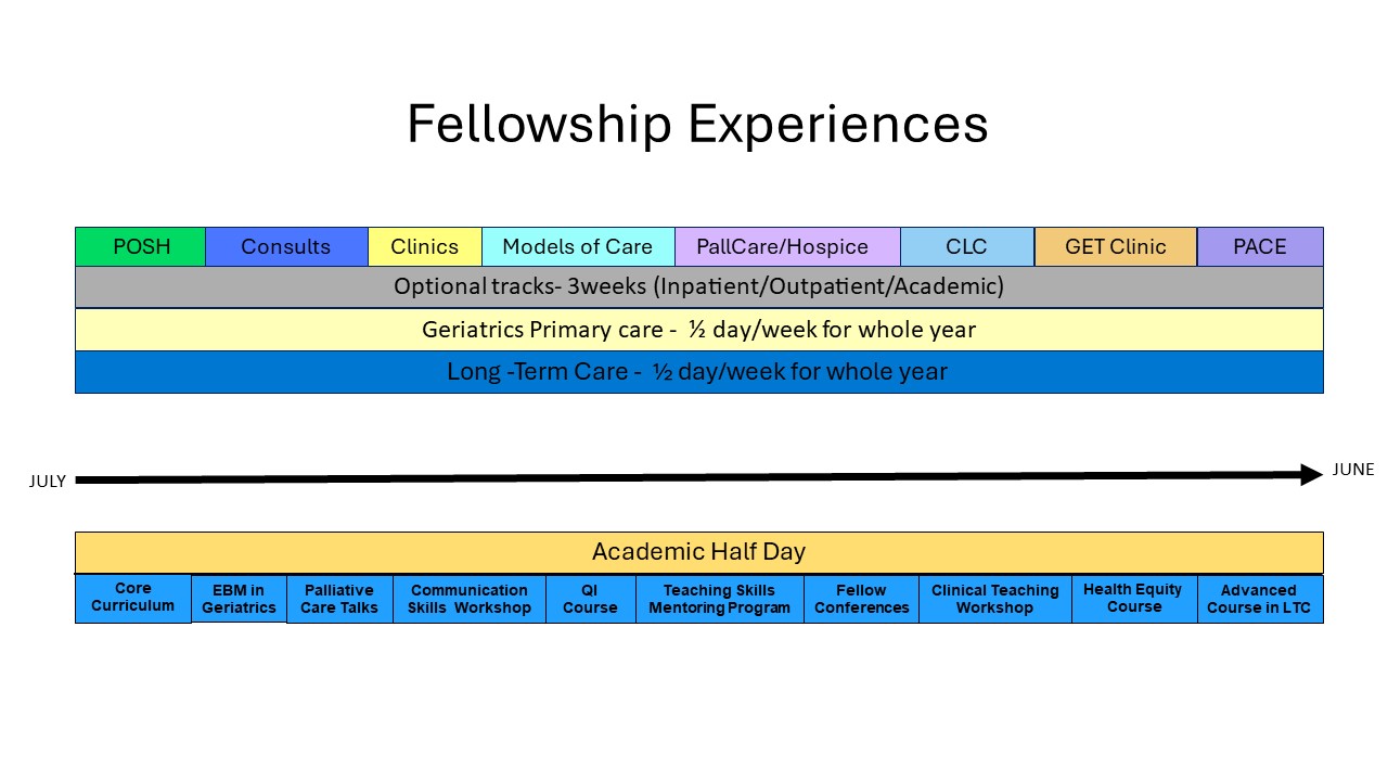 Fellowship Timeline