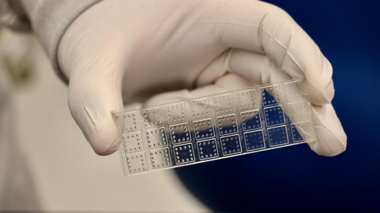 Covid Variant Test Slide small