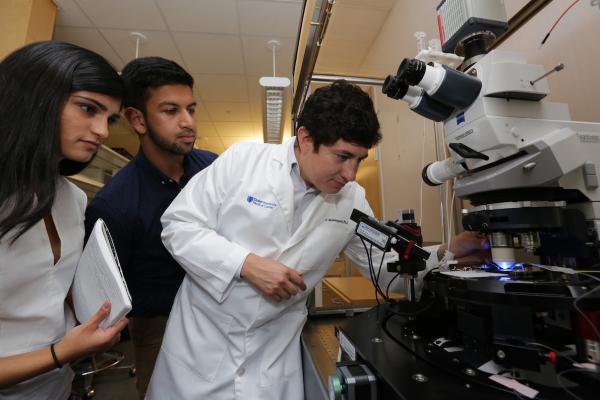 GI researchers