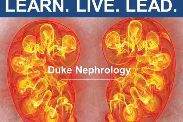Learn Live Lead