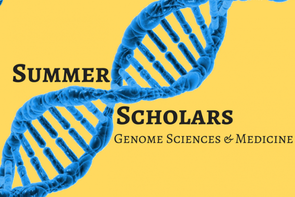 Summer Scholars