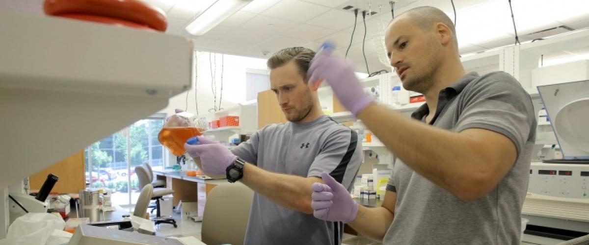 Endocrinology researchers