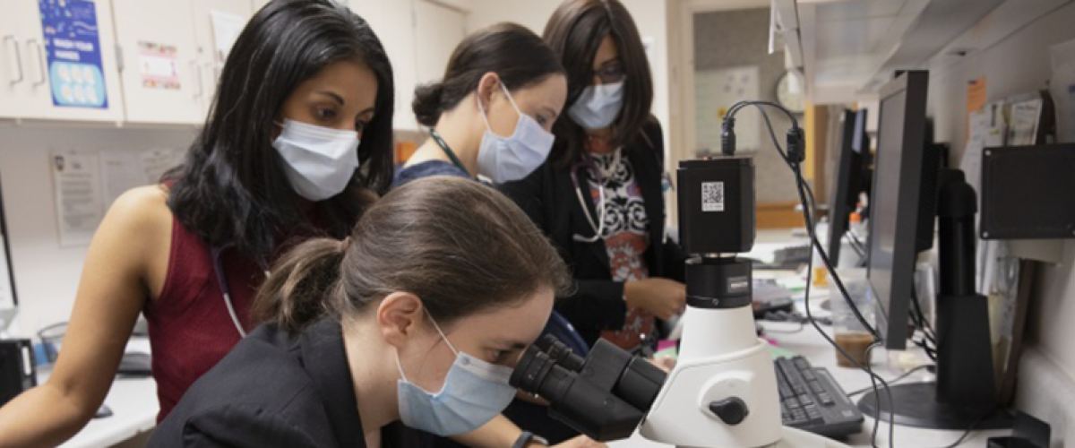 Rheumatology Fellowship training