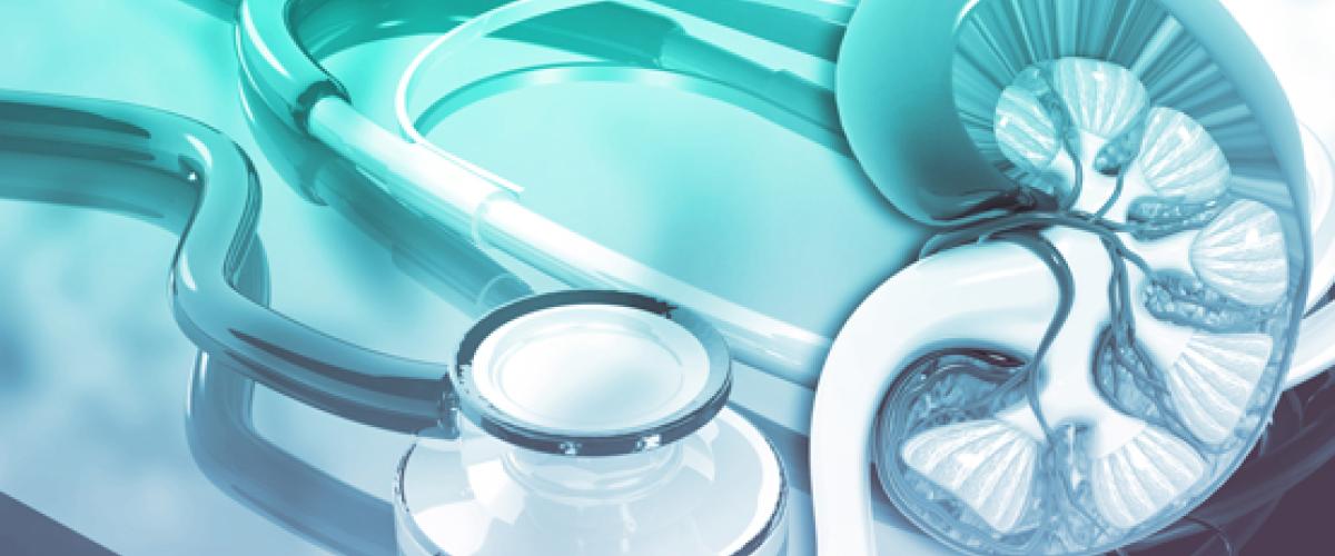 Nephrology research