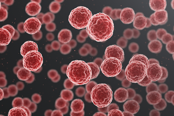 cancer cells