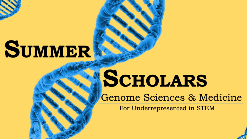 Summer Scholars 2022 graphic