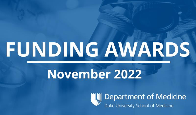 Funding Awards November 2022