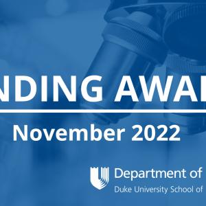 Funding Awards November 2022