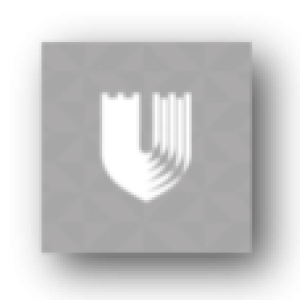 Duke Shield Gray