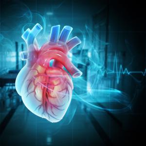 Human heart on ecg background
